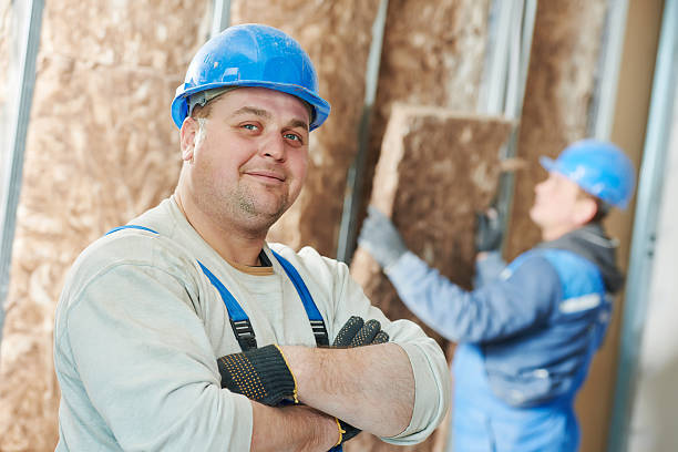 Best Insulation Installation Services in Sinton, TX